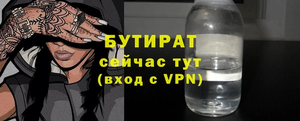 индика Сосновоборск