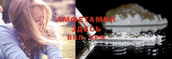 твердый Сосновый Бор
