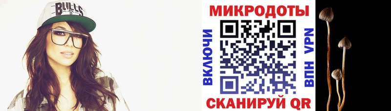 Галлюциногенные грибы прущие грибы Выборг
